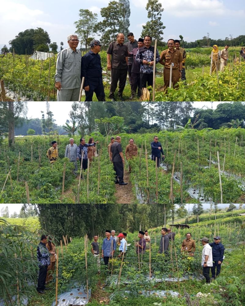 Dinpermades Temanggung Dampingi Komisi A DPRD Tinjau Lokasi Tukar Menukar Tanah Kas Desa Giripurno